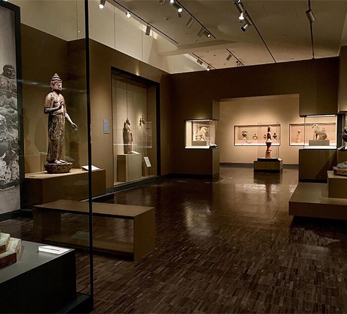 Phòng trưng bày nghệ thuật, bảo tàng là nơi dễ dàng bắt gặp nhiều đèn LED spotlight