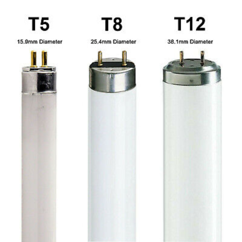 T5, T8 và T12 là ký hiệu để phân loại đèn LED dựa trên đường kính 