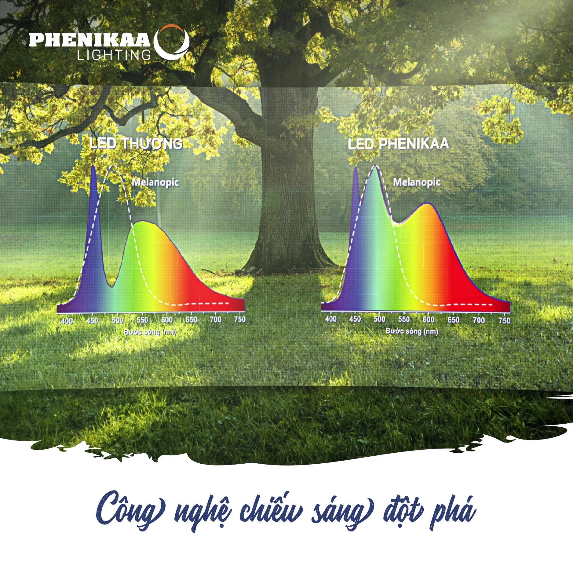 Công nghệ chiếu sáng tự nhiên Phenikaa Natural TrueCircadian đã giải quyết được vấn đề ở vùng lõm Melaponic của đèn LED thường