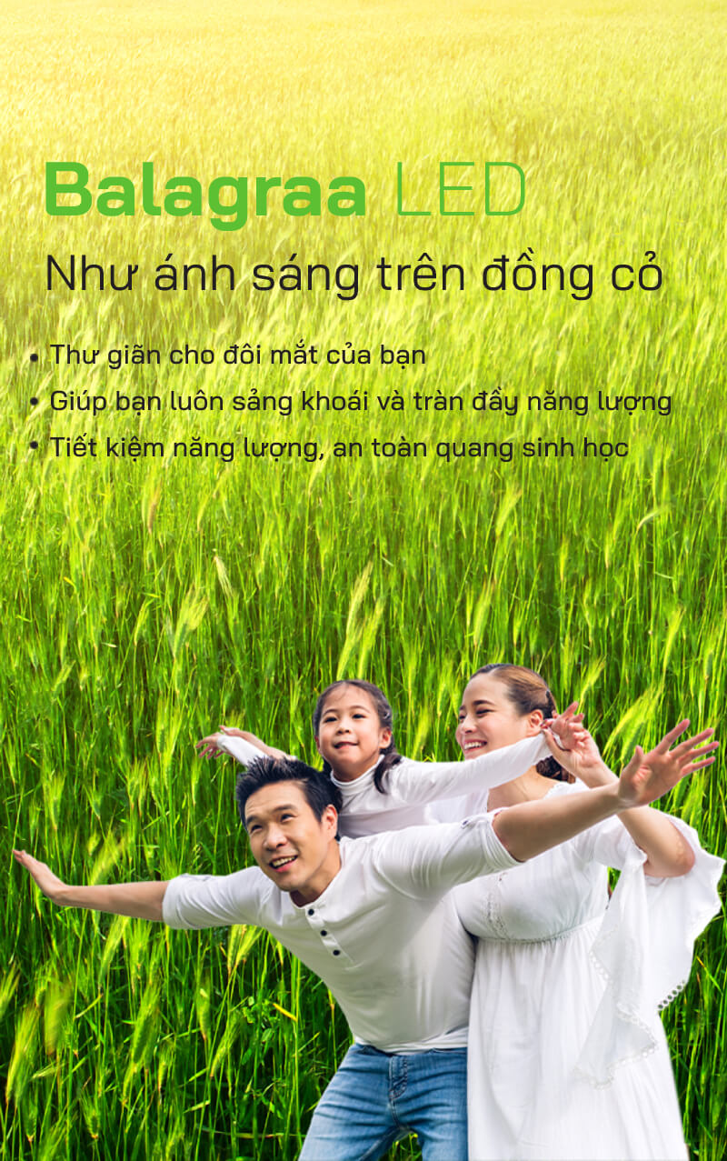 anh banner